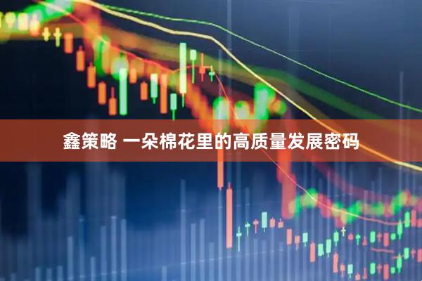 鑫策略 一朵棉花里的高质量发展密码