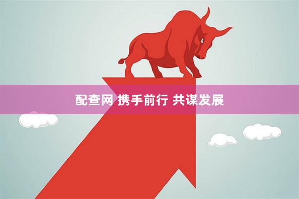 配查网 携手前行 共谋发展