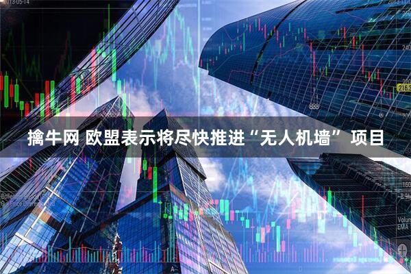 擒牛网 欧盟表示将尽快推进“无人机墙” 项目