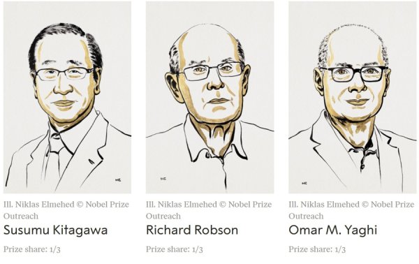 策略聚宝 今年拿到诺奖的“分子房间”有多神奇？全球已开发成千上万种，还有更多在路上